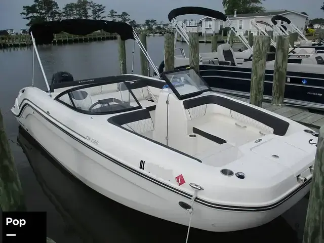 Bayliner Dx2200