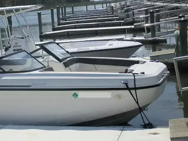 Bayliner Dx2200