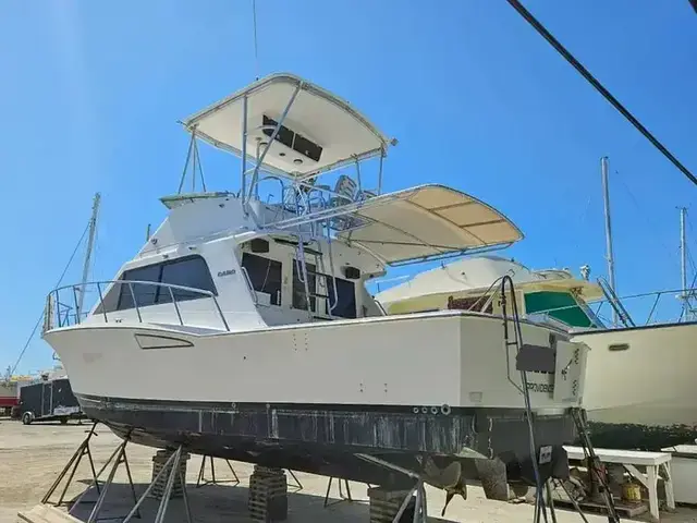 Cabo 35 Flybridge