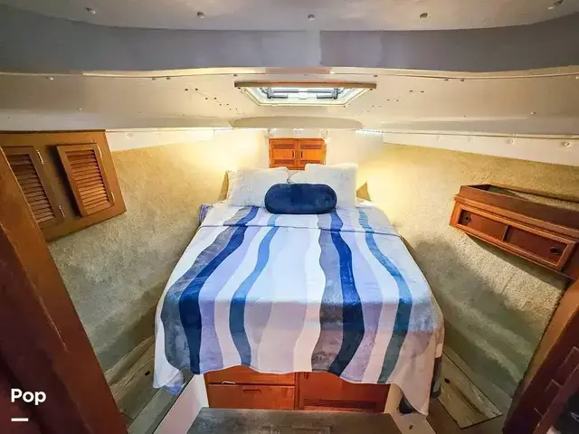 Cabo 35 Flybridge