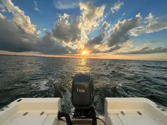 Tidewater Boats 1910 Bay Max