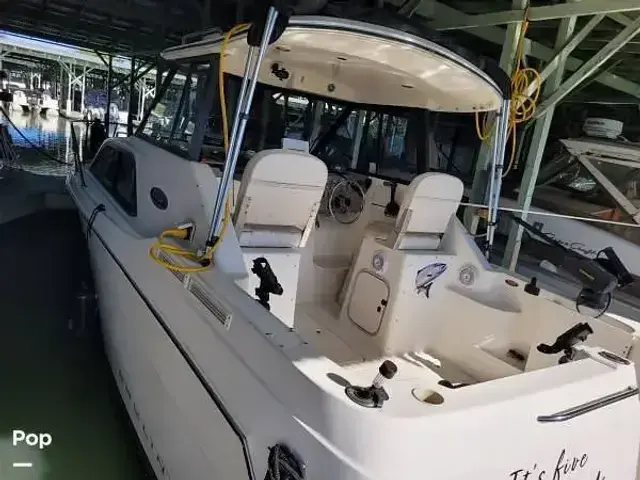 Bayliner 245