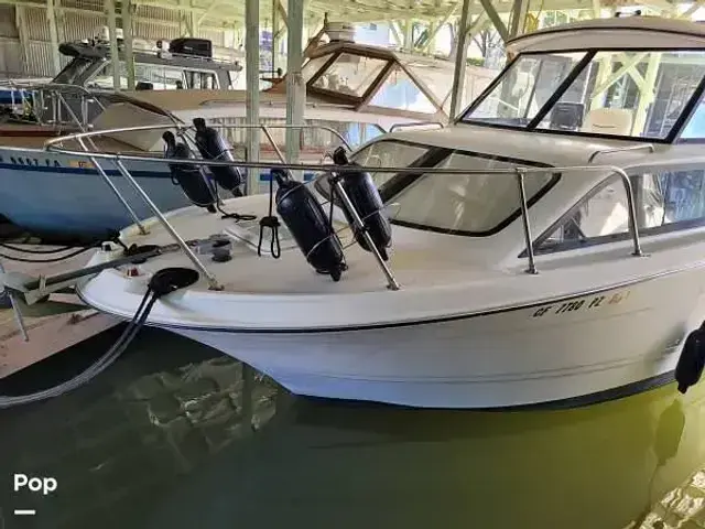 Bayliner 245