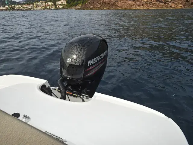 Bayliner VR5 Cuddy