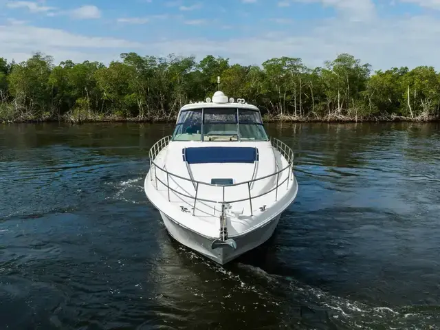 Sea Ray Sun Sport