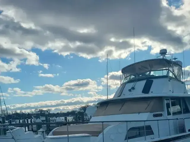 Hatteras 53