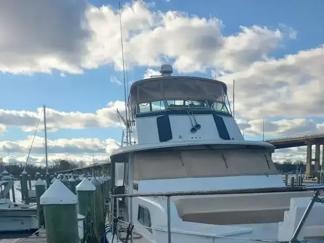 Hatteras 53