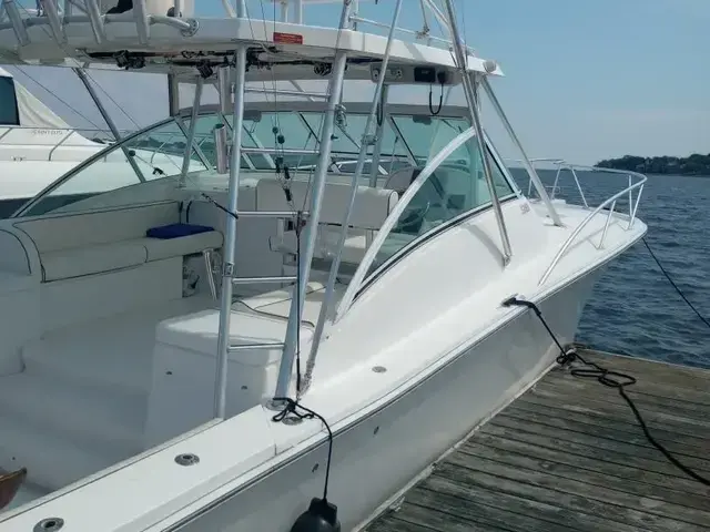 Luhrs 36