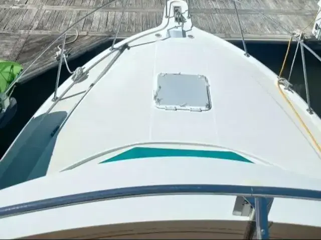 Carver 33 Aft Cabin