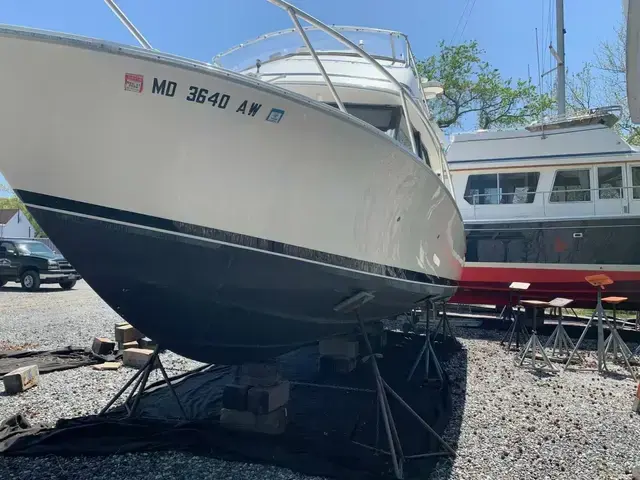 Bertram 28 Flybridge Cruiser