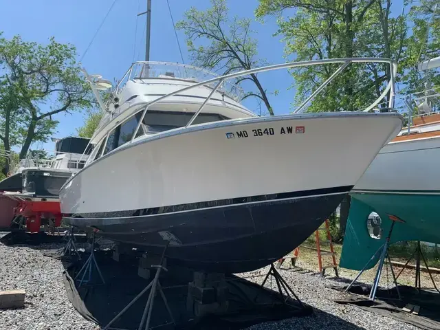 Bertram 28 Flybridge Cruiser