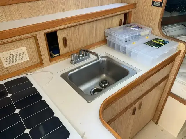 Bertram 28 Flybridge Cruiser