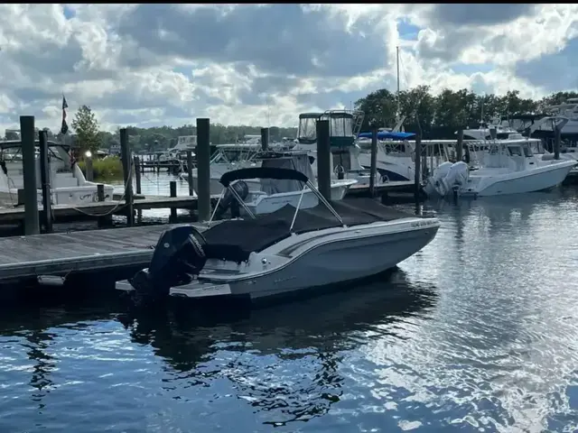 Bayliner 20