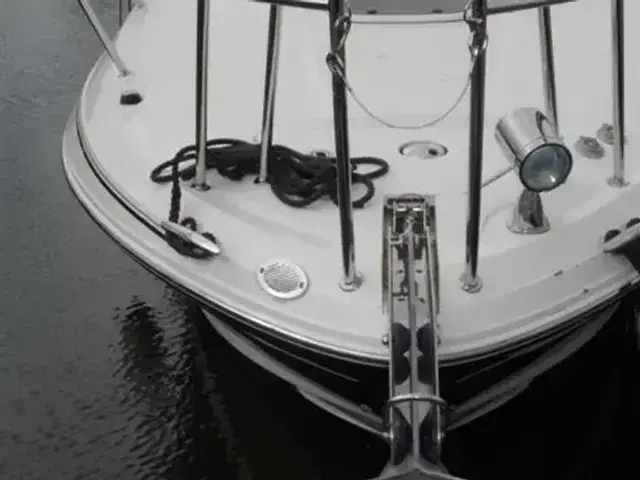 Sea Ray 305 Sundancer