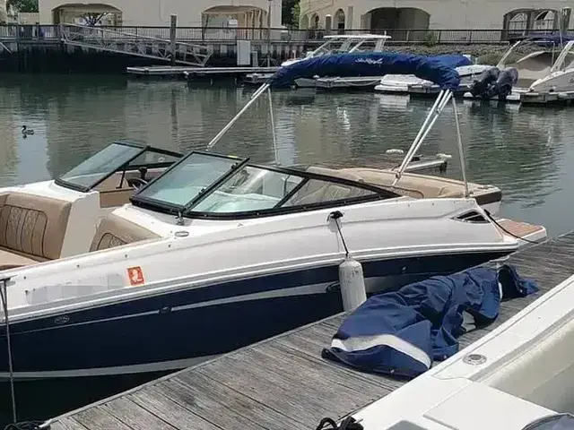 Sea Ray SDX 220