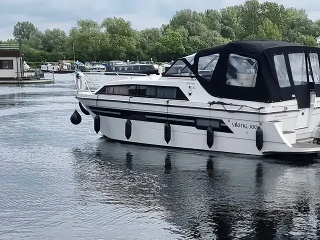 Viking 300