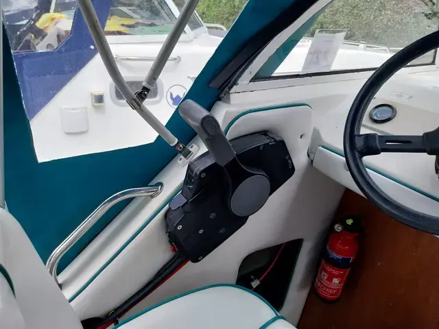 Viking Canal Boats 24 Cockpit Cruiser