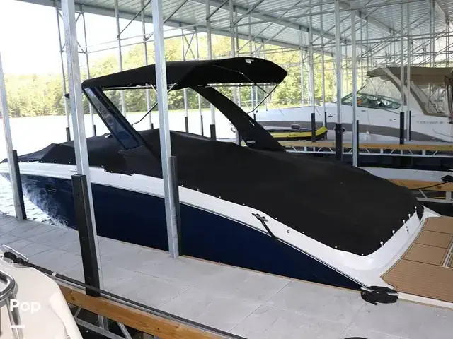 Sea Ray SDX 290