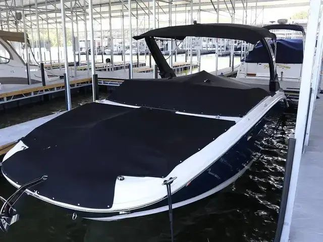 Sea Ray SDX 290