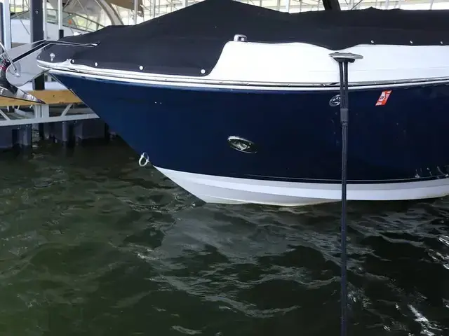 Sea Ray SDX 290