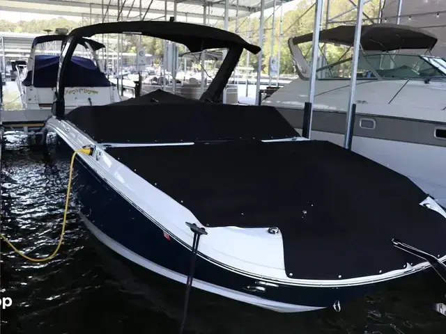 Sea Ray SDX 290