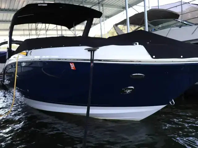 Sea Ray SDX 290