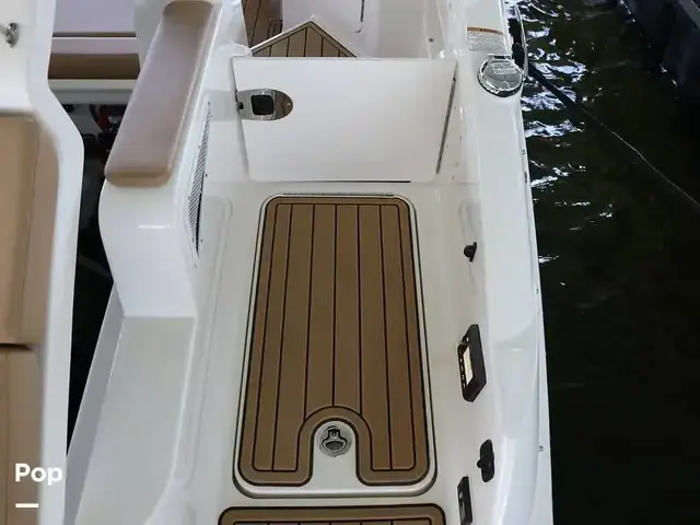 Sea Ray SDX 290