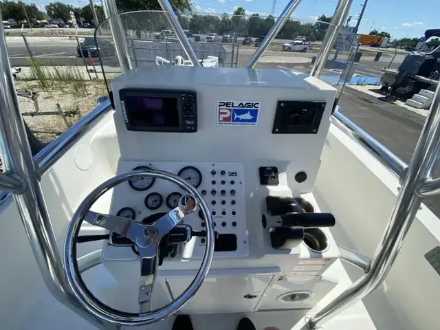 Ranger Boats 220 BAHIA