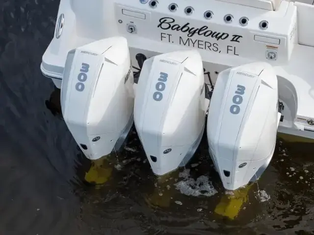 Boston Whaler 350 Realm