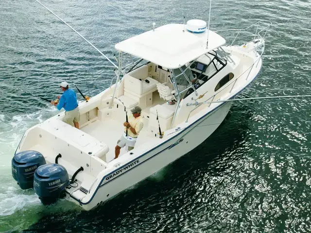 Grady White 300 Marlin