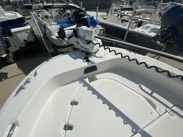 Boston Whaler 210 Dauntless