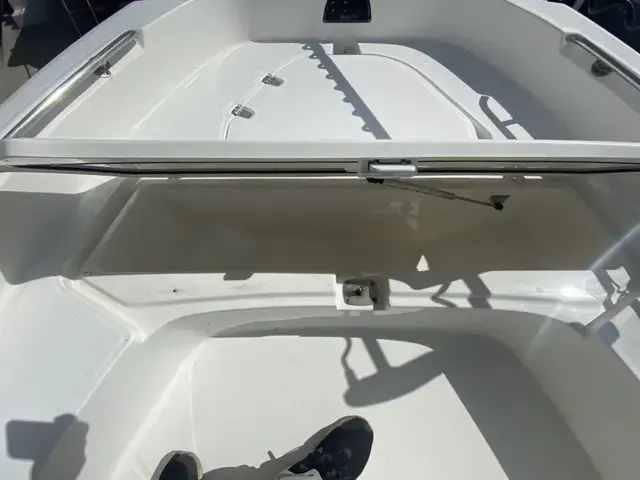 Boston Whaler 210 Dauntless