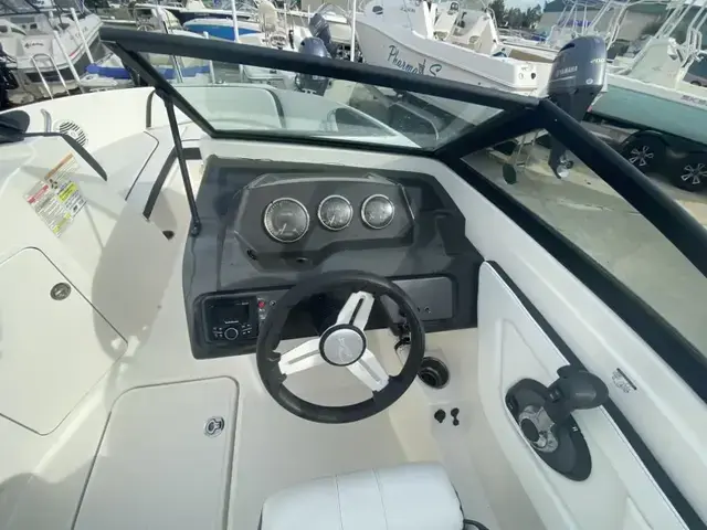 Sea Ray 19 Spx