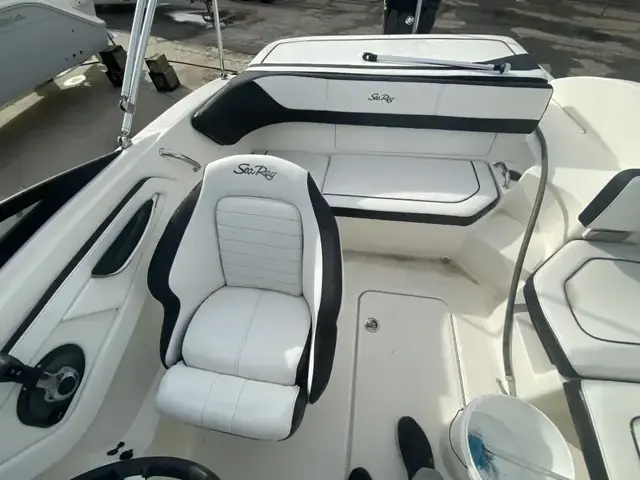 Sea Ray 19 Spx