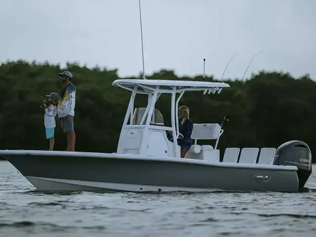 Sea Hunt Boats BX 22 BR