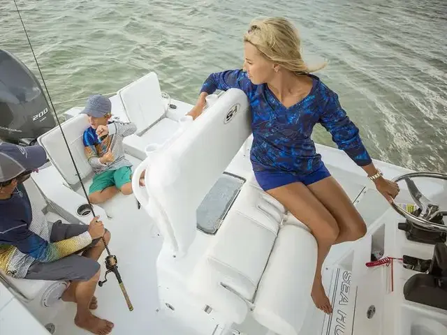 Sea Hunt Boats BX 22 BR