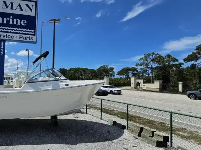 Cobia 220 Dc