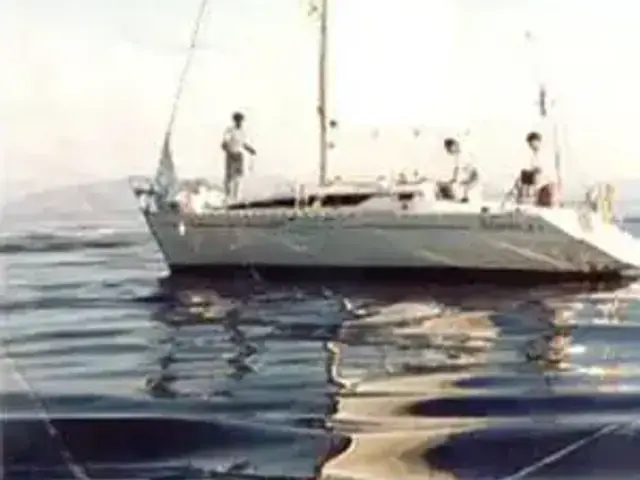 Atlantic 31