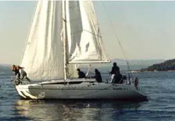 1993 Atlantic 31