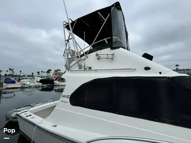 Luhrs 320 Tournament