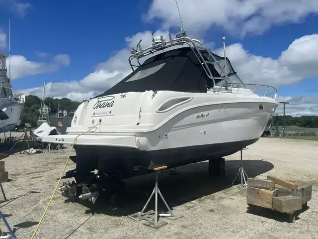 Sea Ray 290 Amberjack