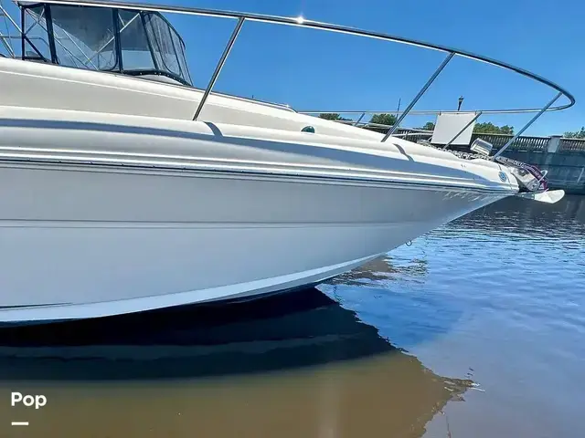 Sea Ray 340