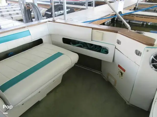 Sea Ray 390 Express Cruiser