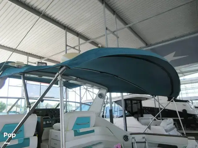 Sea Ray 390 Express Cruiser