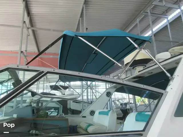 Sea Ray 390 Express Cruiser