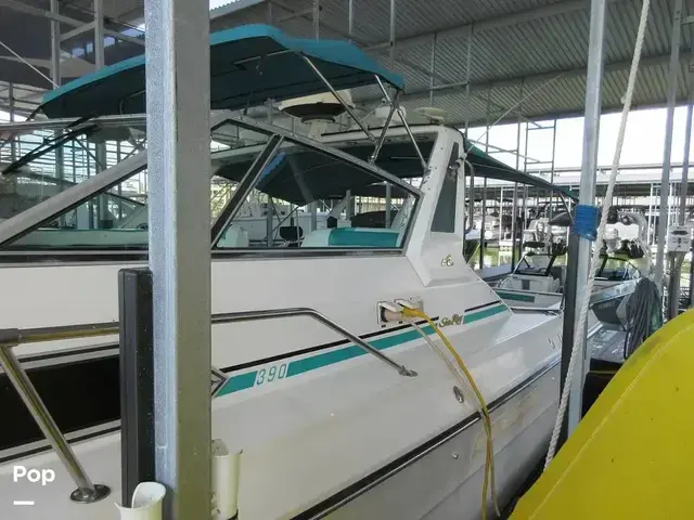 Sea Ray 390 Express Cruiser