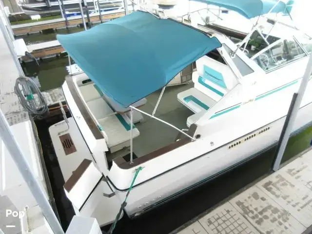 Sea Ray 390 Express Cruiser