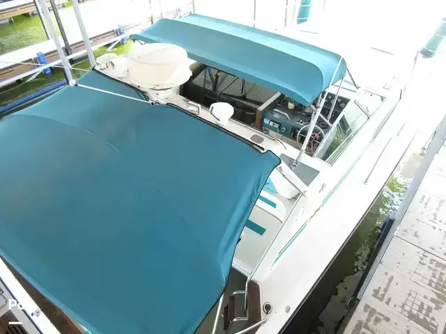 Sea Ray 390 Express Cruiser