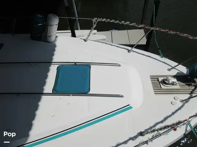 Sea Ray 390 Express Cruiser