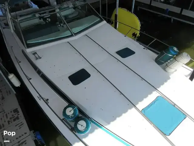 Sea Ray 390 Express Cruiser